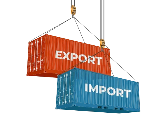 Import & Export Solutions for Global Trade